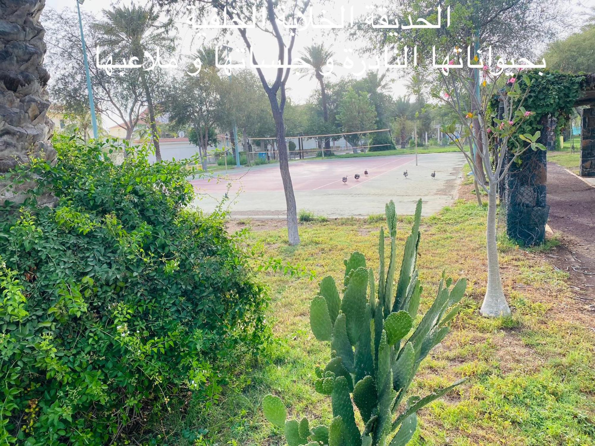 Villa Al Ahlam Island Durrat Alarous جزيرة الأحلام درة العروس